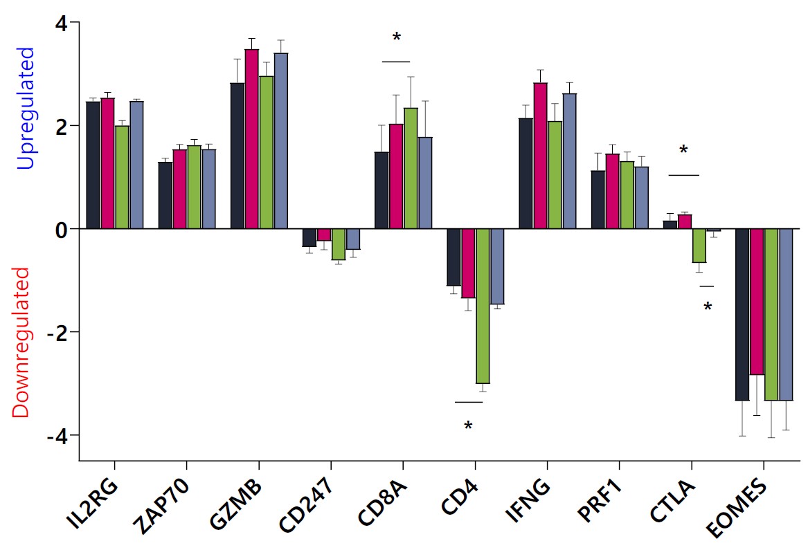 Figure 6: T-cell Activation Pathways Are Upregulated on Day 24. mRNA was analyzed for log2 fold changes between formats, with unpaired t-tests determining significance (*p < 0.05). CTLA-4 expression was dependent on the sbPCI-1 format.